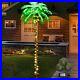 Lighted_Palm_Tree_6FT_162_LED_Artificial_Palm_Tree_with_Coconuts_Tropical_L_01_li