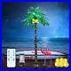 Lighted_Palm_Tree_with_Coconuts_9FT_368_LED_Artificial_Palm_Tree_Lights_for_01_xb