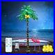 Lighted_Palm_Tree_with_Coconuts_9FT_368_LED_Artificial_Palm_Tree_Lights_for_Deco_01_kwon