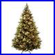 Lighted_Pine_Christmas_Tree_Holiday_Decorations_01_twcb