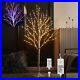 Lighted_Twig_Birch_Tree_Plug_in_with_8_Functions_4FT_200_Warm_White_and_Multi_01_cqmw