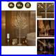 Lighted_White_Birch_Tree_6FT_Twig_Tree_with_Lights_Plug_in_for_Christmas_Wed_01_hml