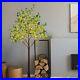 Lightshare_Lighted_Eucalyptus_Tree_270_Warm_White_LED_Artificial_Greenery_6FT_01_bmgh
