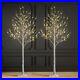 Lightshare_Set_of_3_Lighted_Birch_Tree_4FT_6FT_and_8FT_LED_Artificial_Tree_01_pz