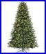Mr_Christmas_Alexa_Compatible_Smart_Home_Pre_Lit_Artificial_Christmas_Tree_7ft_01_edi