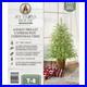 My_Texas_House_4FT_Pre_Lit_Cypress_Pot_Artificial_Christmas_Tree_4_Foot_2025_01_uzci