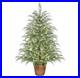 My_Texas_House_4FT_Pre_Lit_Cypress_Pot_Artificial_Christmas_Tree_4_Foot_NEW_01_jyqt