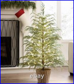 My Texas House Potted 4FT Pre-Lit Cypress Christmas Tree 100 LED Shimmer Lights My Texas House Potted 4FT Pre-Lit Cypress Christmas Tree 100 LED Shimmer Lights