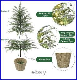 My Texas House Potted 4FT Pre-Lit Cypress Christmas Tree 100 LED Shimmer Lights My Texas House Potted 4FT Pre-Lit Cypress Christmas Tree 100 LED Shimmer Lights