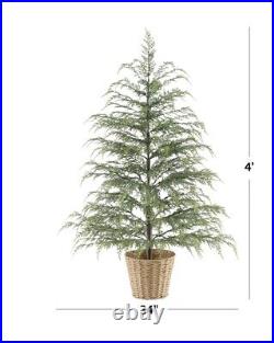 My Texas House Potted 4FT Pre-Lit Cypress Christmas Tree 100 LED Shimmer Lights My Texas House Potted 4FT Pre-Lit Cypress Christmas Tree 100 LED Shimmer Lights