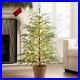 My_Texas_House_Potted_4ft_Pre_Lit_Twinkle_LED_Cypress_Artificial_Christmas_Tree_01_hf