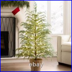 My Texas House Potted 4ft Pre-Lit Twinkle LED Cypress Artificial Christmas Tree My Texas House Potted 4ft Pre-Lit Twinkle LED Cypress Artificial Christmas Tree