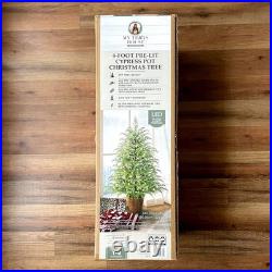 My Texas House Potted 4ft Pre-Lit Twinkle LED Cypress Artificial Christmas Tree