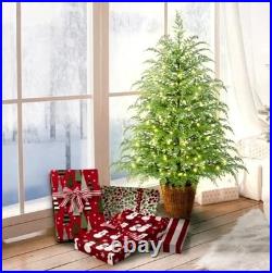 My Texas House Potted 4ft Pre-Lit Twinkle LED Cypress Artificial Christmas Tree