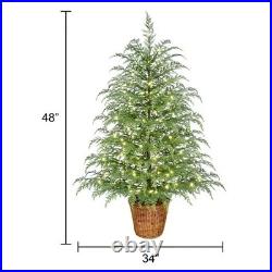 My Texas House Potted 4ft Pre-Lit Twinkle LED Cypress Artificial Christmas Tree