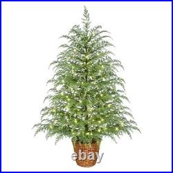 My Texas House Potted 4ft Pre-Lit Twinkle LED Cypress Artificial Christmas Tree