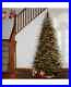 NATIONAL_TREE_COMPANY_6_5_Spruce_Christmas_Tree_with_350_Clear_Lights_504_01_pb