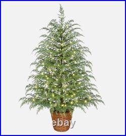 NEW My Texas House 4FT Pre-Lit Cypress Pot Christmas Tree LED Lights