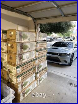 NEW, SEALED My Texas House 4FT Pre-Lit Cypress Christmas Tree