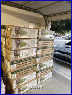 NEW, SEALED My Texas House 4FT Pre-Lit Cypress Christmas Tree