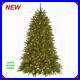 National_Tree_7_5_Foot_Dunhill_Fir_Tree_750_Dual_Color_LED_Lights_9_Function_01_ihl