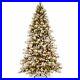 National_Tree_7_5_Foot_Snowy_Westwood_Pine_Tree_650_Clear_Lights_Hinged_01_gq