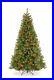 National_Tree_7_5_North_Valley_Spruce_Tree_with550_Multicolor_Lights_NRV7_301_75_01_qd