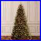 National_Tree_7_North_Valley_Spruce_Christmas_Tree_with_700_Clear_Lights_9020_01_fpzi