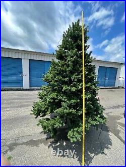 National Tree 9-ft Pre-lit Artificial Christmas Tree With 1200 White star light