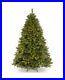 National_Tree_Company_6_Feet_Winchester_Pine_Tree_with_Clear_Lights_01_md