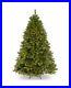 National_Tree_Company_6_Feet_Winchester_Pine_Tree_with_Clear_Lights_01_nxh