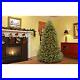 National_Tree_Company_9_ft_Dunhill_Fir_Pre_lit_Artificial_Christmas_Tree_WithStand_01_wicl