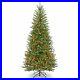 National_Tree_Company_Artificial_Christmas_Tree_Multi_Color_Lights_and_Stand_01_xnh