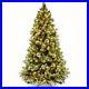 National_Tree_Company_Artificial_Christmas_Tree_White_Lights_Wintry_Pine_Medium_01_fej