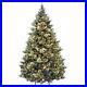 National_Tree_Company_Carolina_Pine_7_5_Foot_Prelit_Artificial_Christmas_Tree_01_gdxi