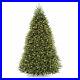 National_Tree_Company_Dunhill_Fir_9_Foot_Prelit_Christmas_Tree_with_Metal_Stand_01_exx