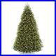 National_Tree_Company_Dunhill_Fir_9_Ft_Clear_Pre_Lit_Artificial_Christmas_Tree_01_dstz