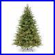 National_Tree_Company_Feel_Real_Frasier_7_5_Ft_Prelit_Artificial_Christmas_Tree_01_au