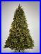 National_Tree_Company_Pre_Lit_6_5_Feet_Douglas_Fir_White_Light_Christmas_Tree_01_jdav