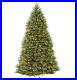 National_Tree_Company_Pre_Lit_Artificial_Christmas_Tree_White_Lights_10_foot_01_vz