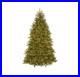 National_Tree_Company_Pre_Lit_Artificial_Full_Christmas_Tree_7ft_6in_Green_01_rwh
