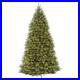National_Tree_Company_Pre_Lit_Artificial_Full_Christmas_Tree_Green_10_Feet_01_wujz