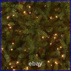 National Tree Company Pre-Lit Artificial Full Christmas Tree, Green 10 Feet