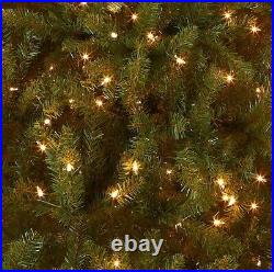 National Tree Company Pre-Lit Artificial Full Christmas Tree Green Dunhill Fi