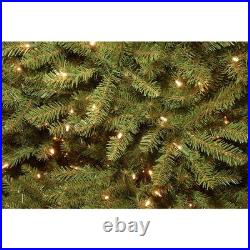 National Tree Company Pre-Lit Artificial Mini Christmas Tree Green Dunhill Fir