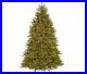 National_Tree_Company_Pre_Lit_Christmas_Tree_Dunhill_Fir_7_5_Ft_White_Lights_01_fez