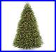National_Tree_Company_Pre_Lit_Christmas_Tree_Dunhill_Fir_White_Lights_9_Feet_01_wsq