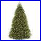 National_Tree_Company_Pre_lit_Artificial_Full_Christmas_Tree_Green_Dunhill_01_upo