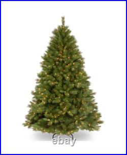 National Tree Company Winchester Pine Christmas Tree with Clear Lights 6 FT