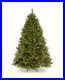 National_Tree_Company_Winchester_Pine_Christmas_Tree_with_Clear_Lights_6_FT_01_wlfe